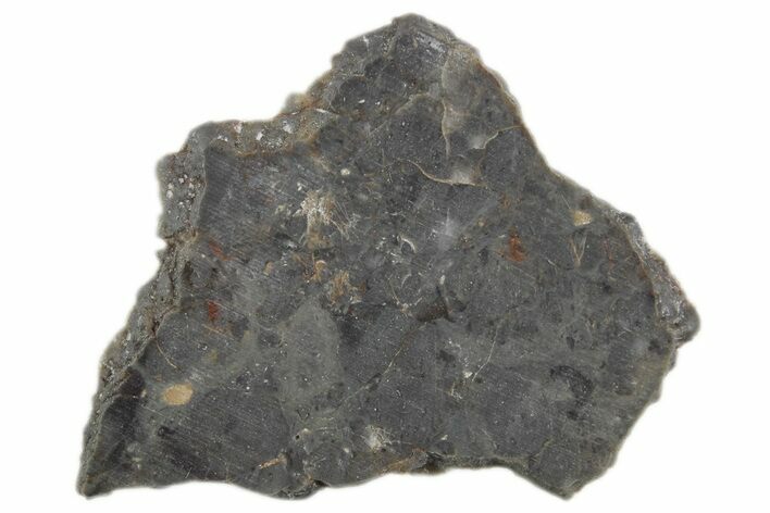 Lunar Meteorite Slice ( g) - NWA #360358